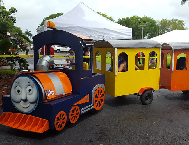 Family Fun Day train